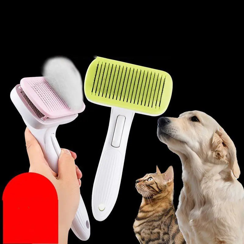 Toilettage et hygiène