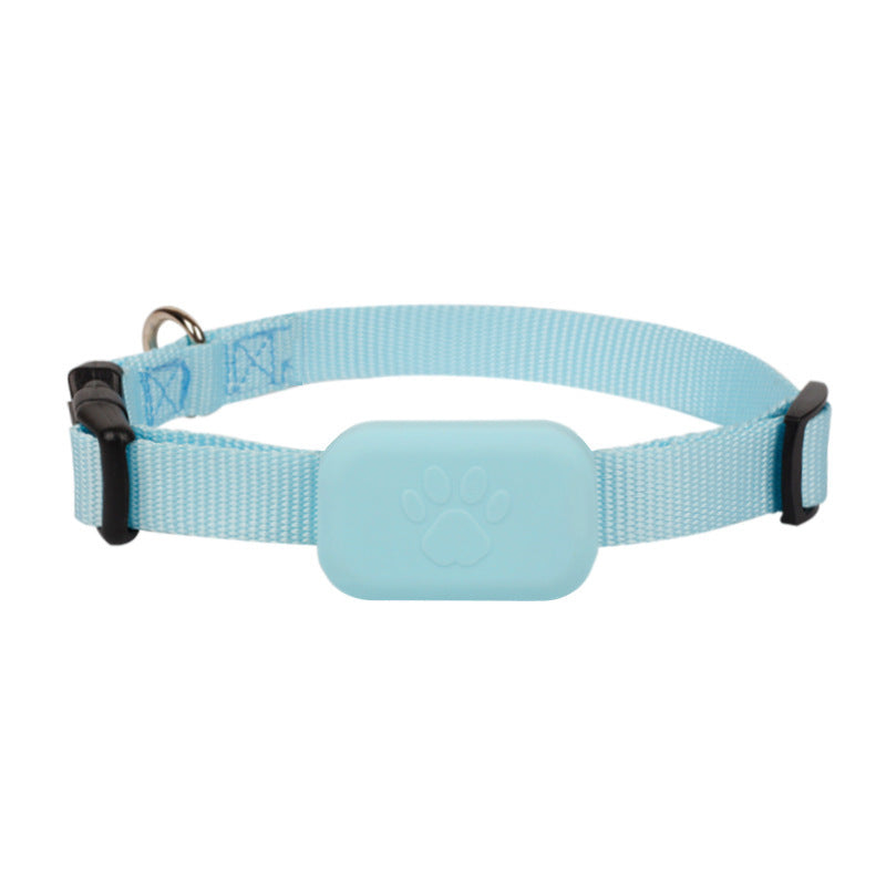 Collier Tracker IOS pour chat ou petit chien