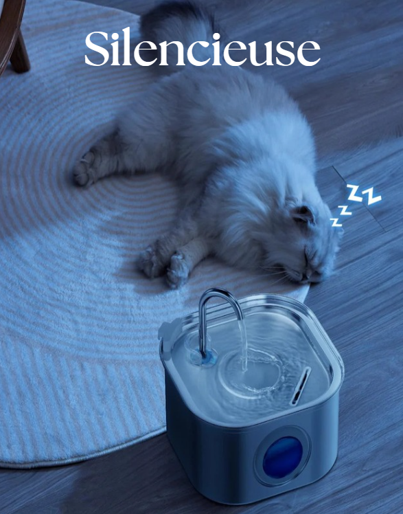 Fontaine à eau automatique en acier inoxydable 3,2L