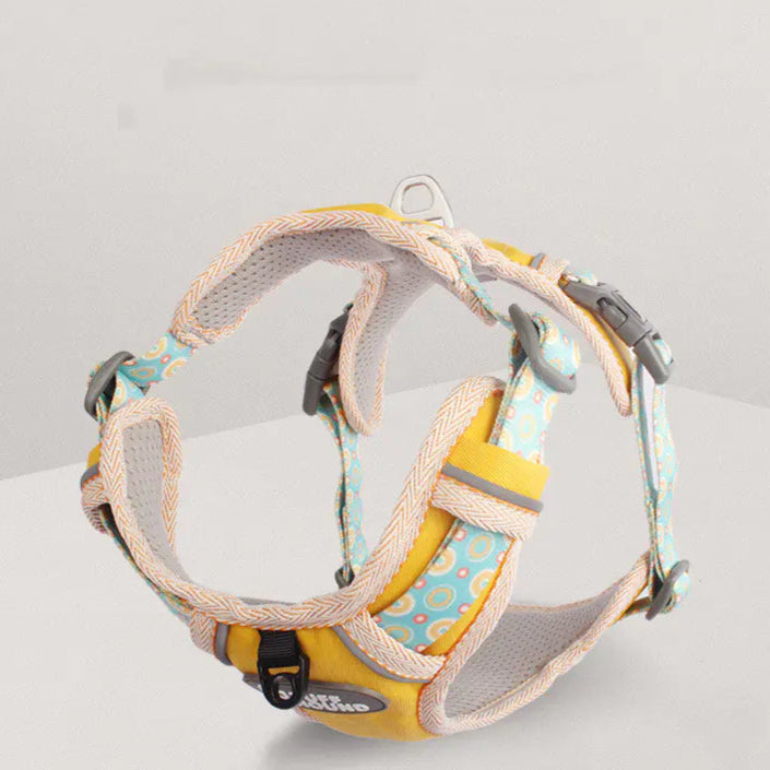 Ensemble Harnais et Laisse pour Chien – Design Minimaliste et Confort Optimal | Rio & Ruby™