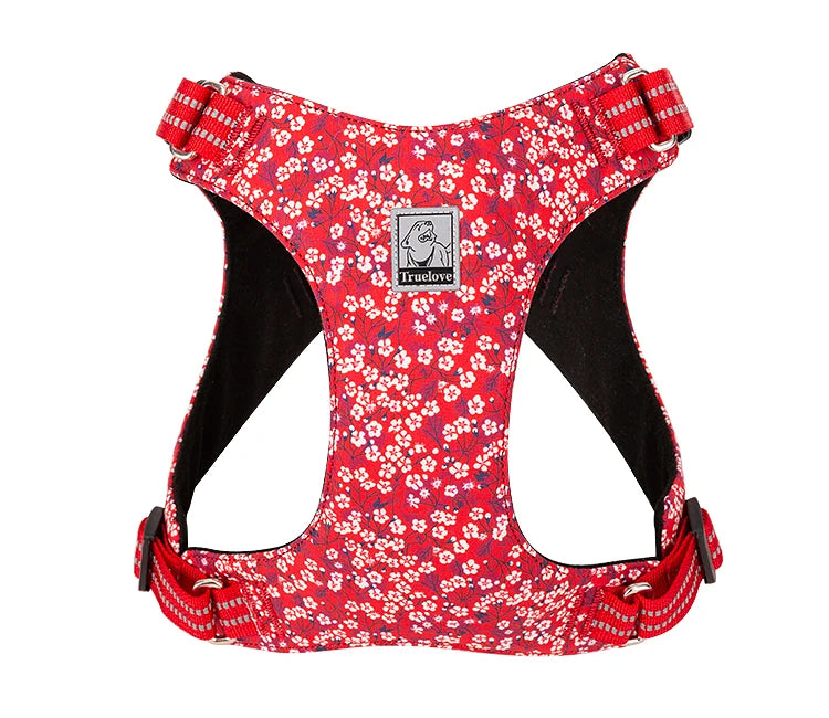 Harnais pour chien Floral