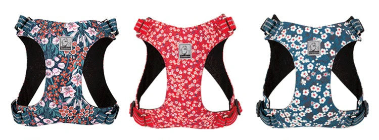 Harnais pour chien Floral