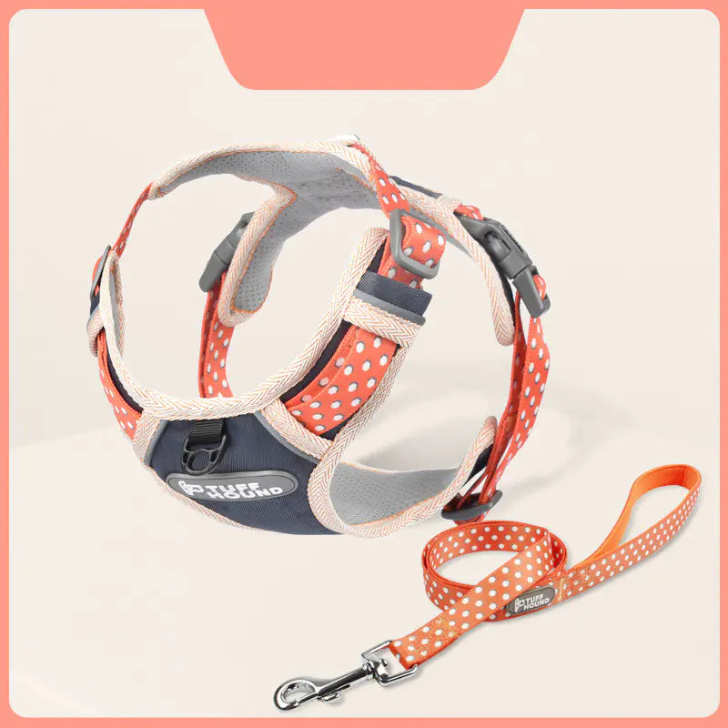 Ensemble Harnais et Laisse pour Chien – Design Minimaliste et Confort Optimal | Rio & Ruby™