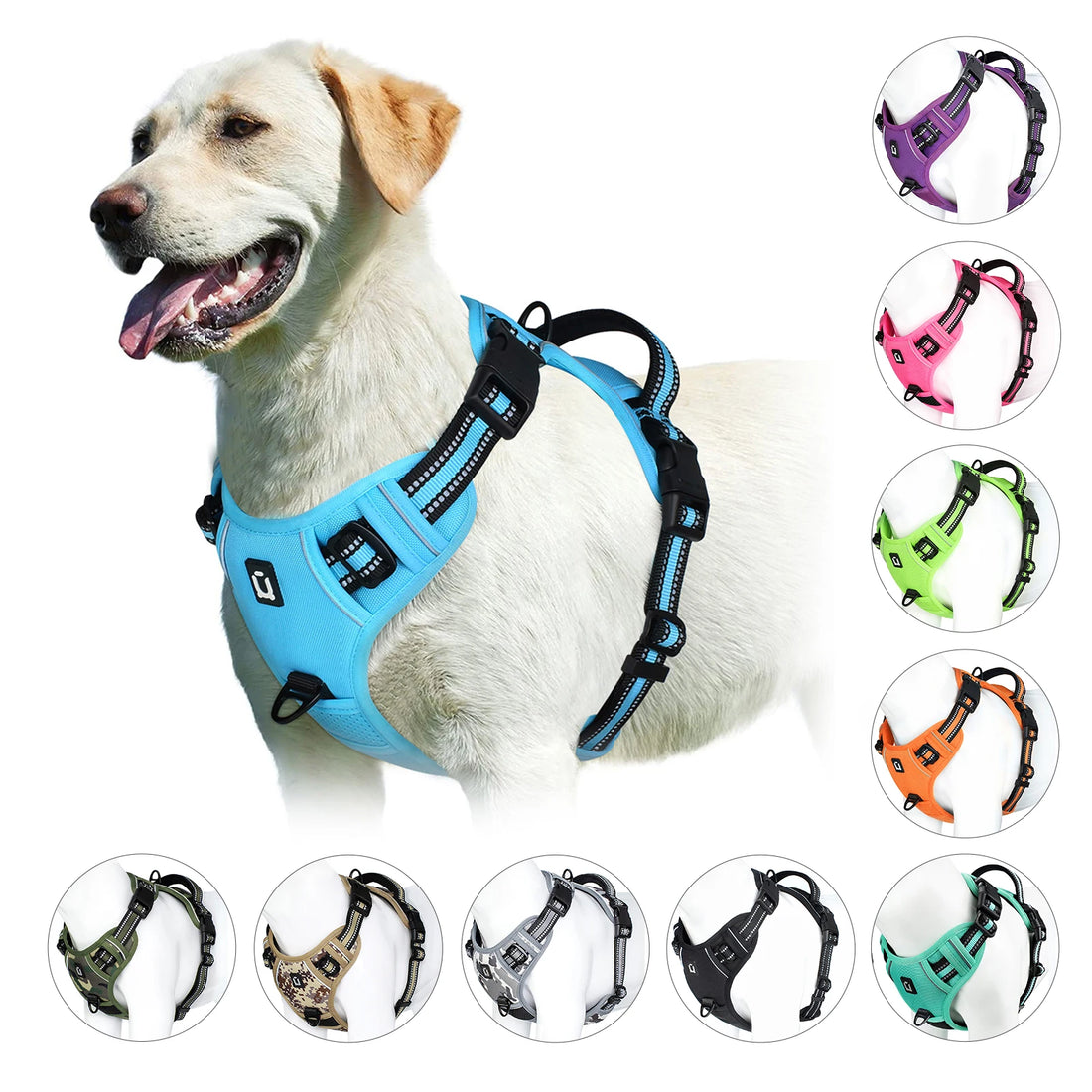 Harnais pour chien ergonomique