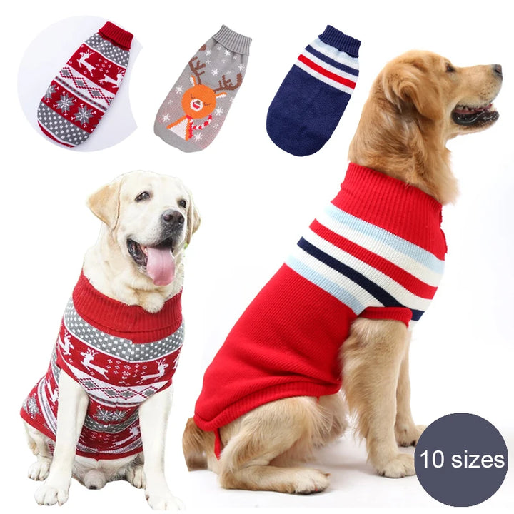 Vetement Pullover pour chien