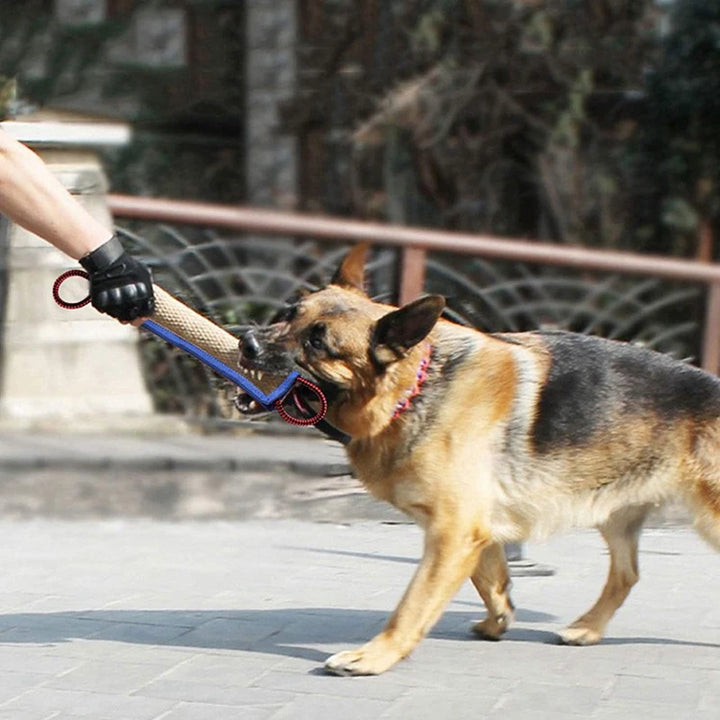 Jouet pour chien très résistant