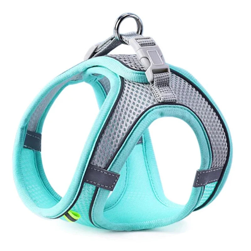 Harnais ergonomique pour chien de petite taille ou chat