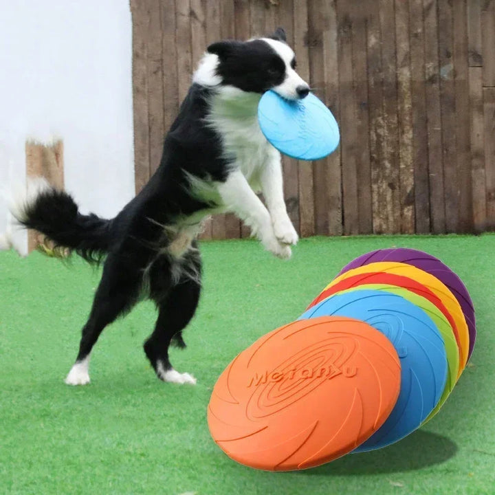 Frisbee en Silicone jouet pour chien