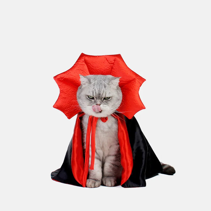 Déguisement de vampire pour chat ou chien