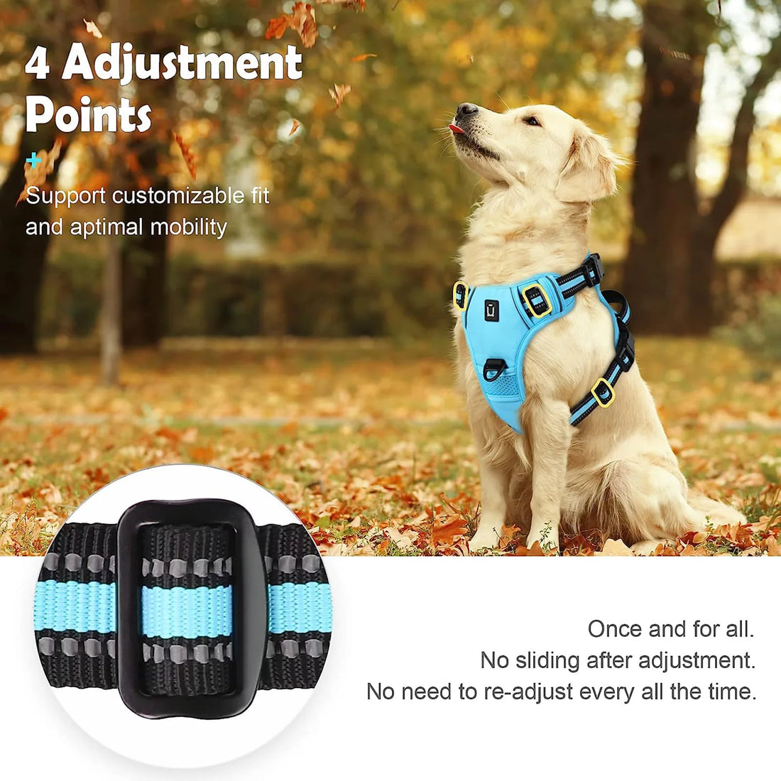 Harnais pour chien ergonomique