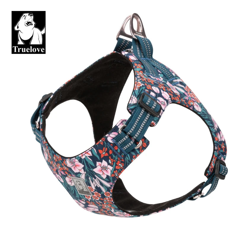Harnais pour chien Floral