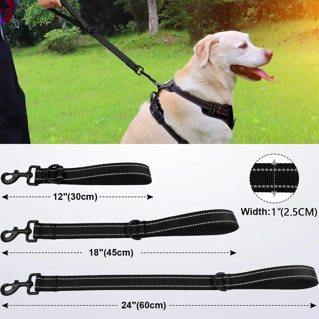 Laisse courte en nylon avec poignée rembourrée pour chien