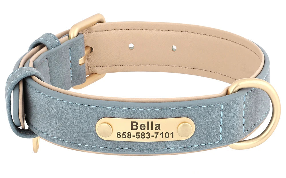 Collier pour chien en cuir gravure personnalisé