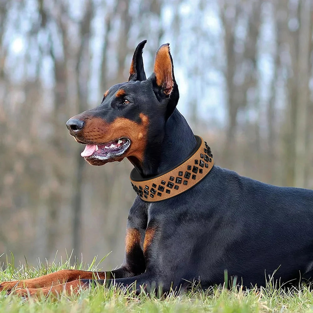 Collier en cuir pour chien Moyen (20-40Kg)