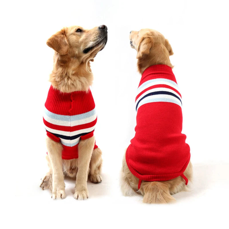 Vetement Pullover pour chien