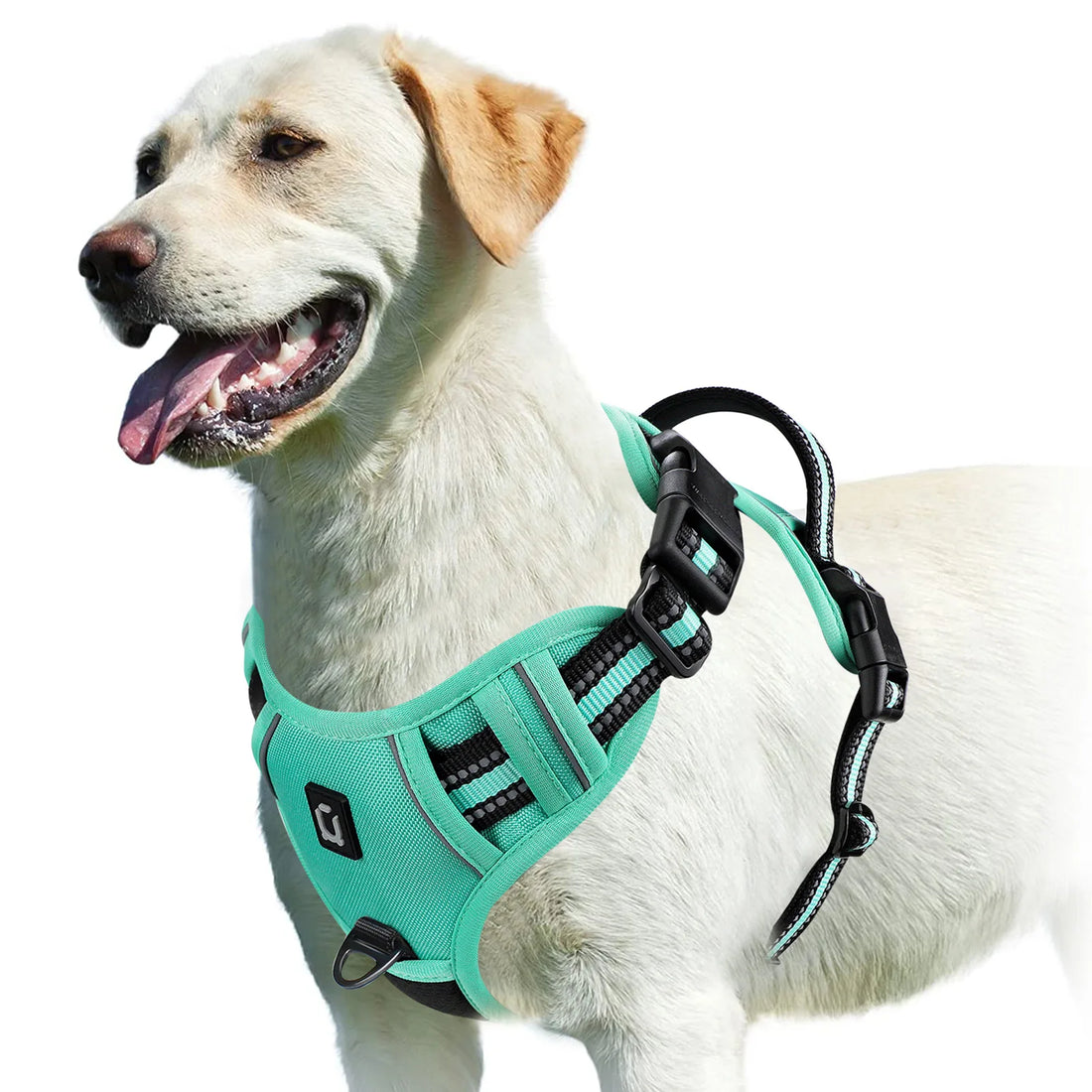 Harnais pour chien ergonomique