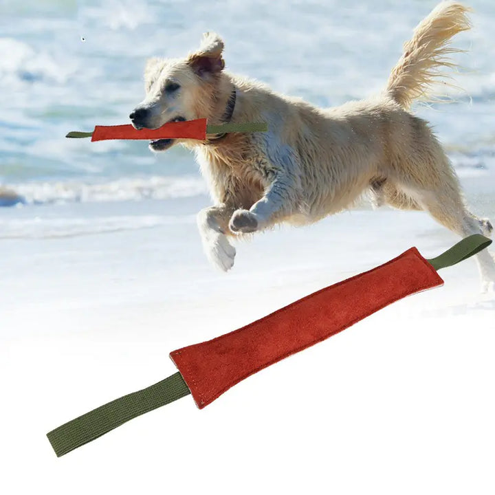 Jouet pour Chien - Solide et Durable | Rio & Ruby