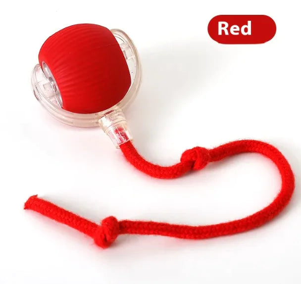 Balle Interactive automatique – Amusement Infini pour Chats | Rio & Ruby