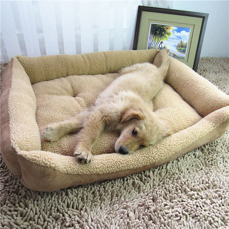 Panier Douillet Teddy pour Chien | Rio & Ruby™