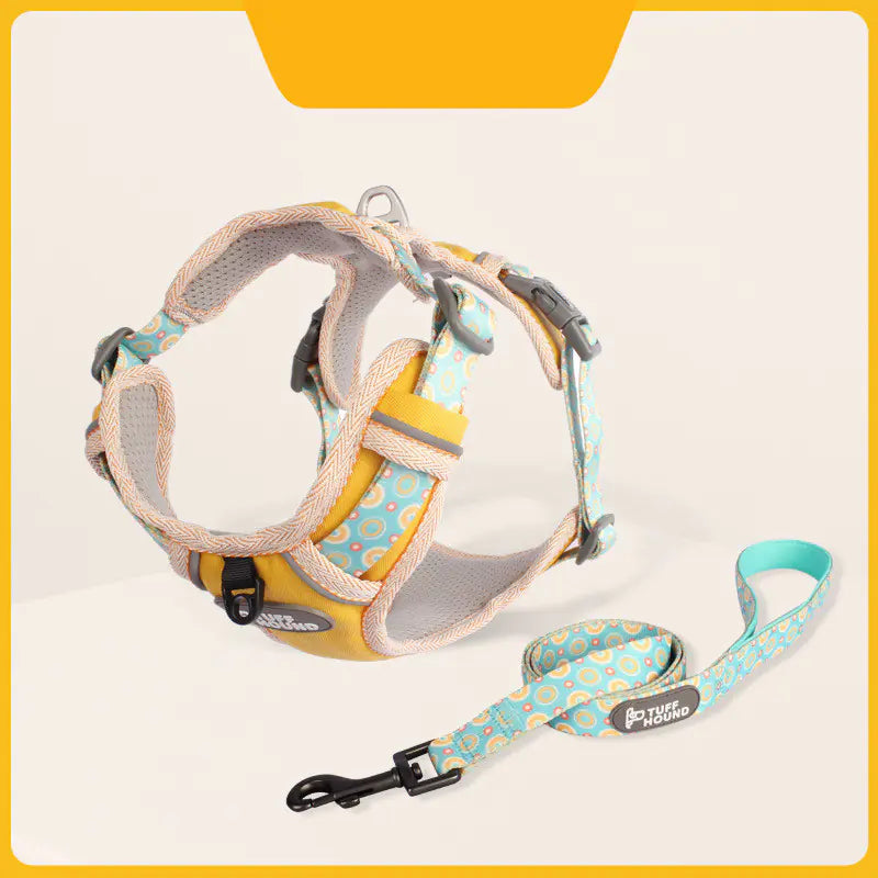 Ensemble Harnais et Laisse pour Chien – Design Minimaliste et Confort Optimal | Rio & Ruby™