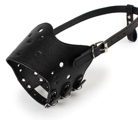 Muselière pour Chien | Rio & Ruby™