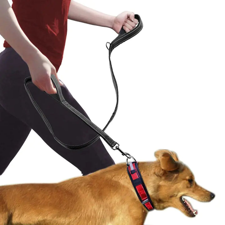 Laisse Double Poignée Réfléchissante pour Chien – Confort, Contrôle & Sécurité | Rio & Ruby